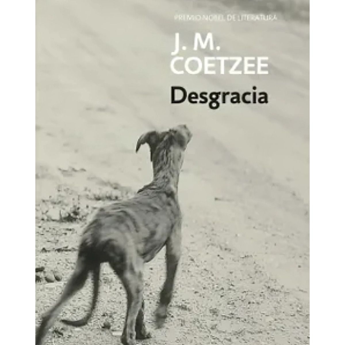 TOP10BOOKS - LIBRO Desgracia - Desgracia