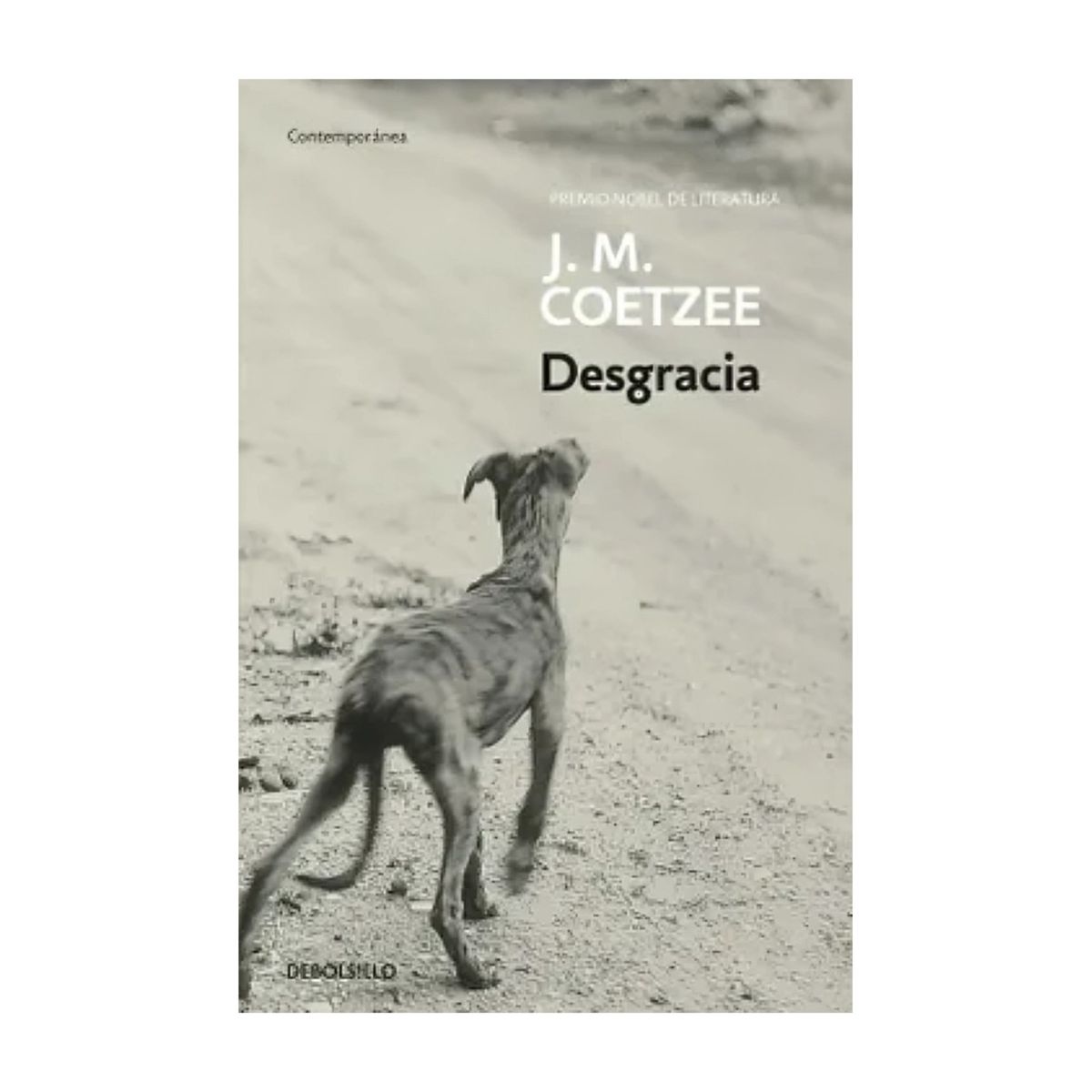TOP10BOOKS - LIBRO Desgracia - Desgracia