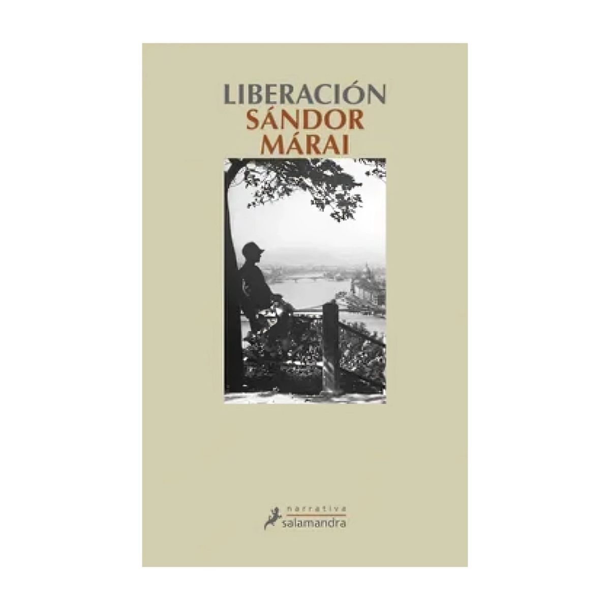 TOP10BOOKS - LIBRO Liberación - Liberación