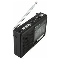 RADIO MULTIBANDA ICX65