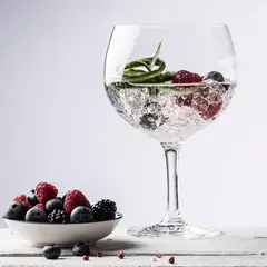 SCHOTT ZWIESEL - Set 6 Copas de Cristal Gin Tonic Bar Special 710 cc