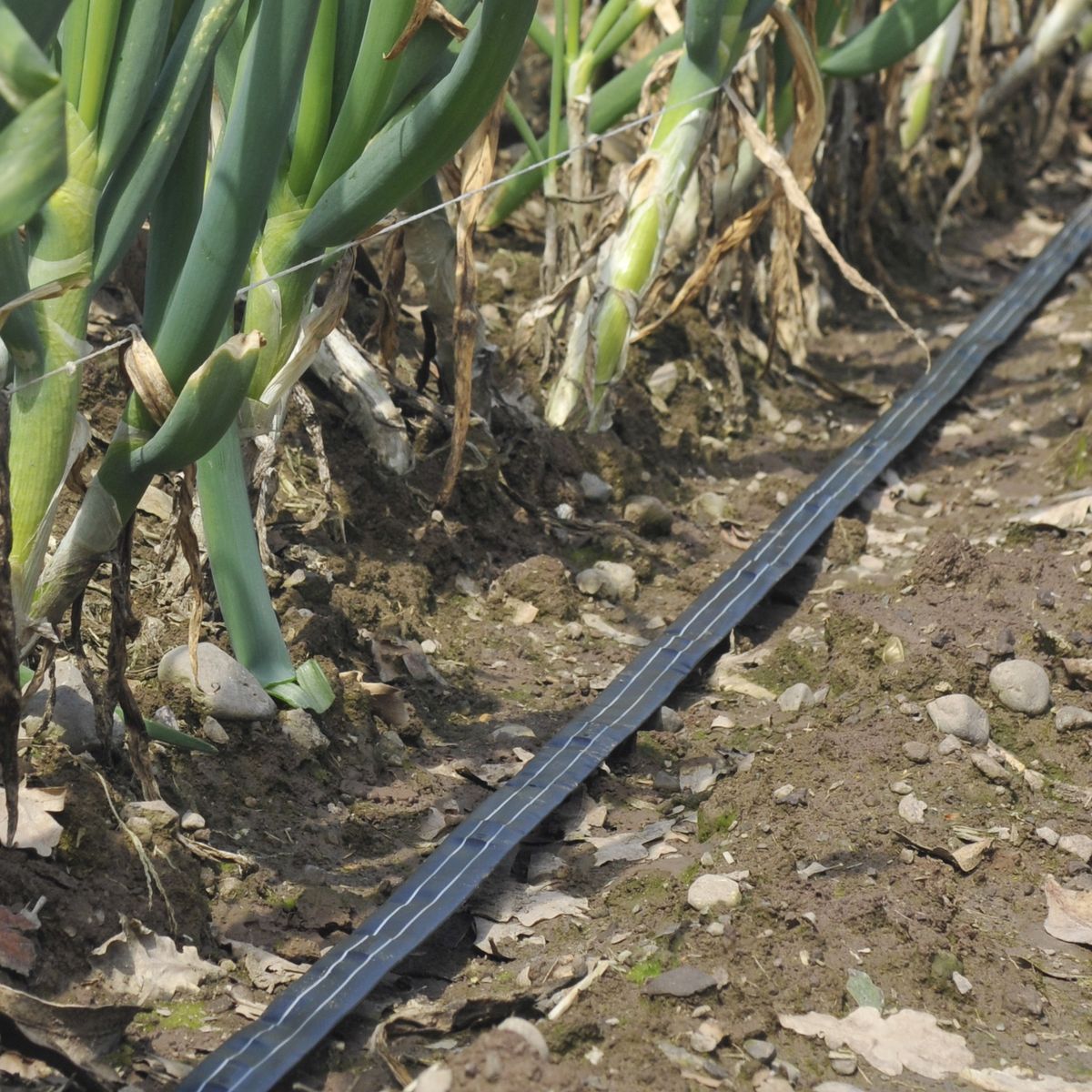 AGROSYSTEMS - Cinta De Riego 0,7 L/h Hydroline A 10 Cm Rollo 2000 M