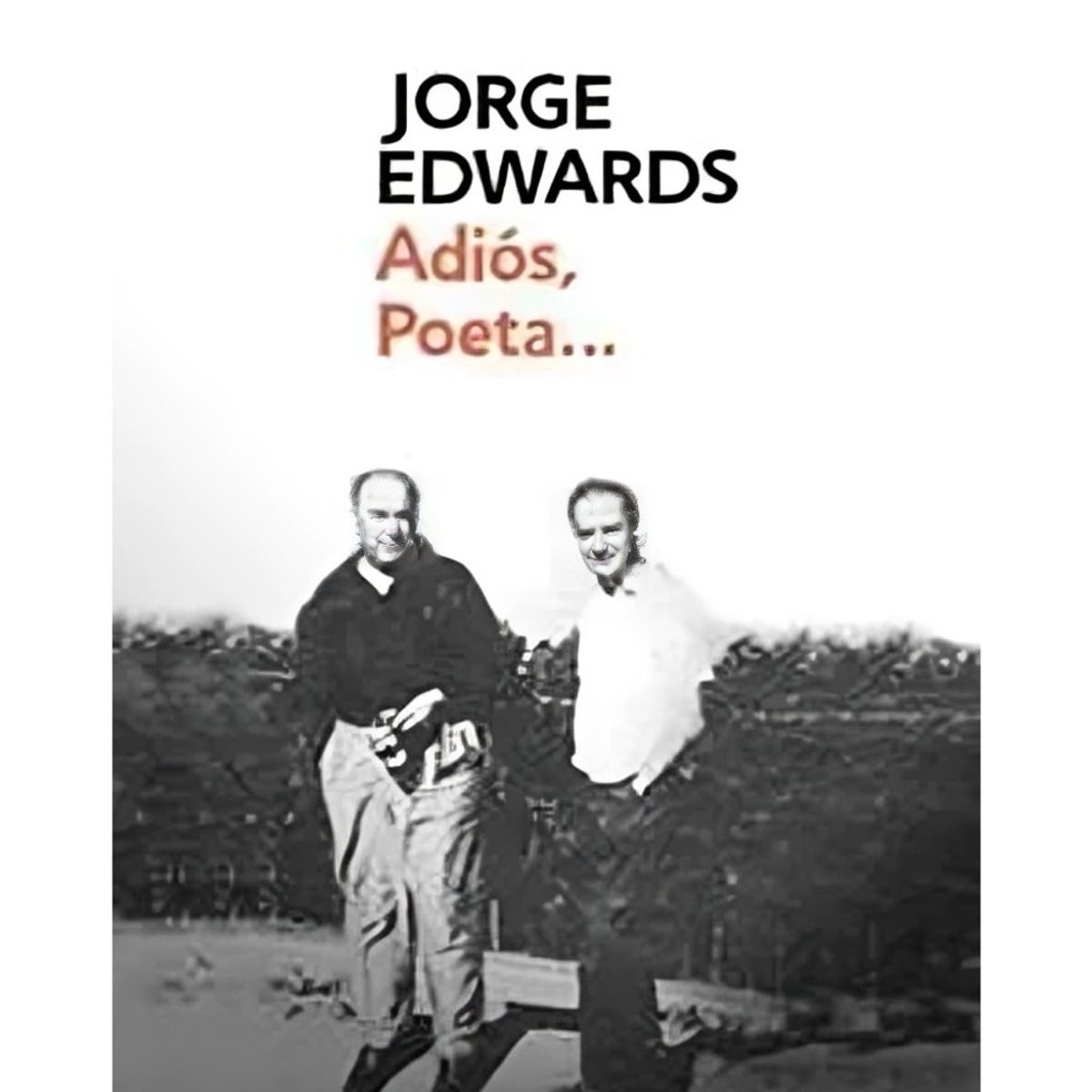 TOP10BOOKS - LIBRO Adios Poeta - Adios Poeta