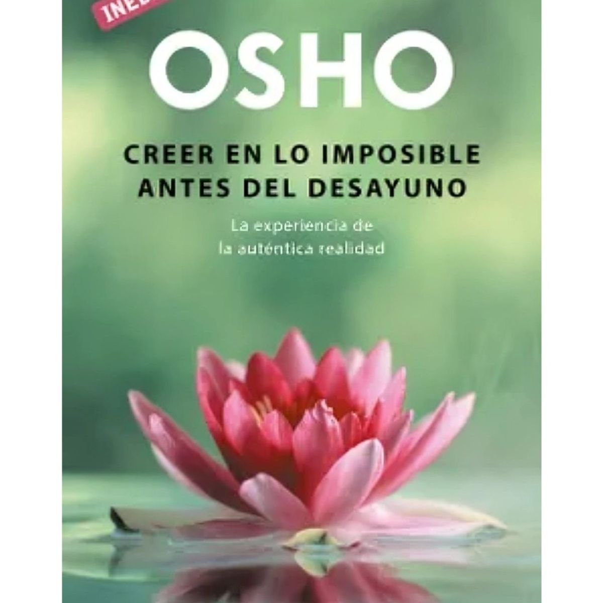 TOP10BOOKS - LIBRO Creer En Lo Imposible Antes Del Desayuno