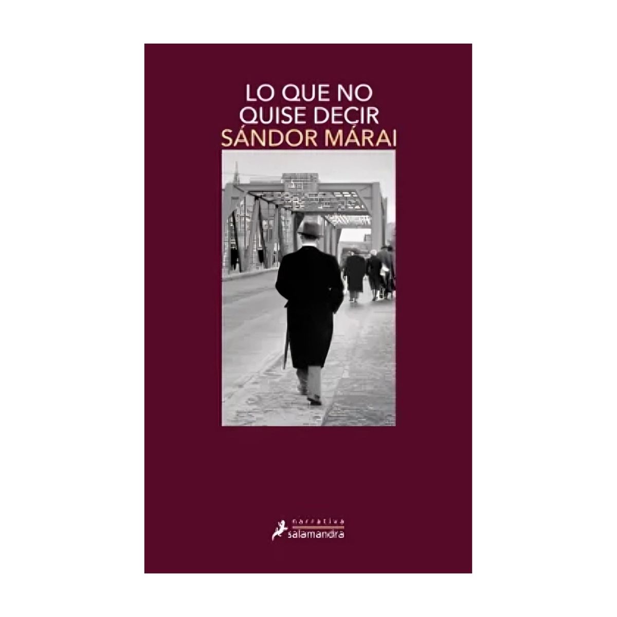 TOP10BOOKS - LIBRO Lo Que No Quise Decir - Lo Que No Quise Decir