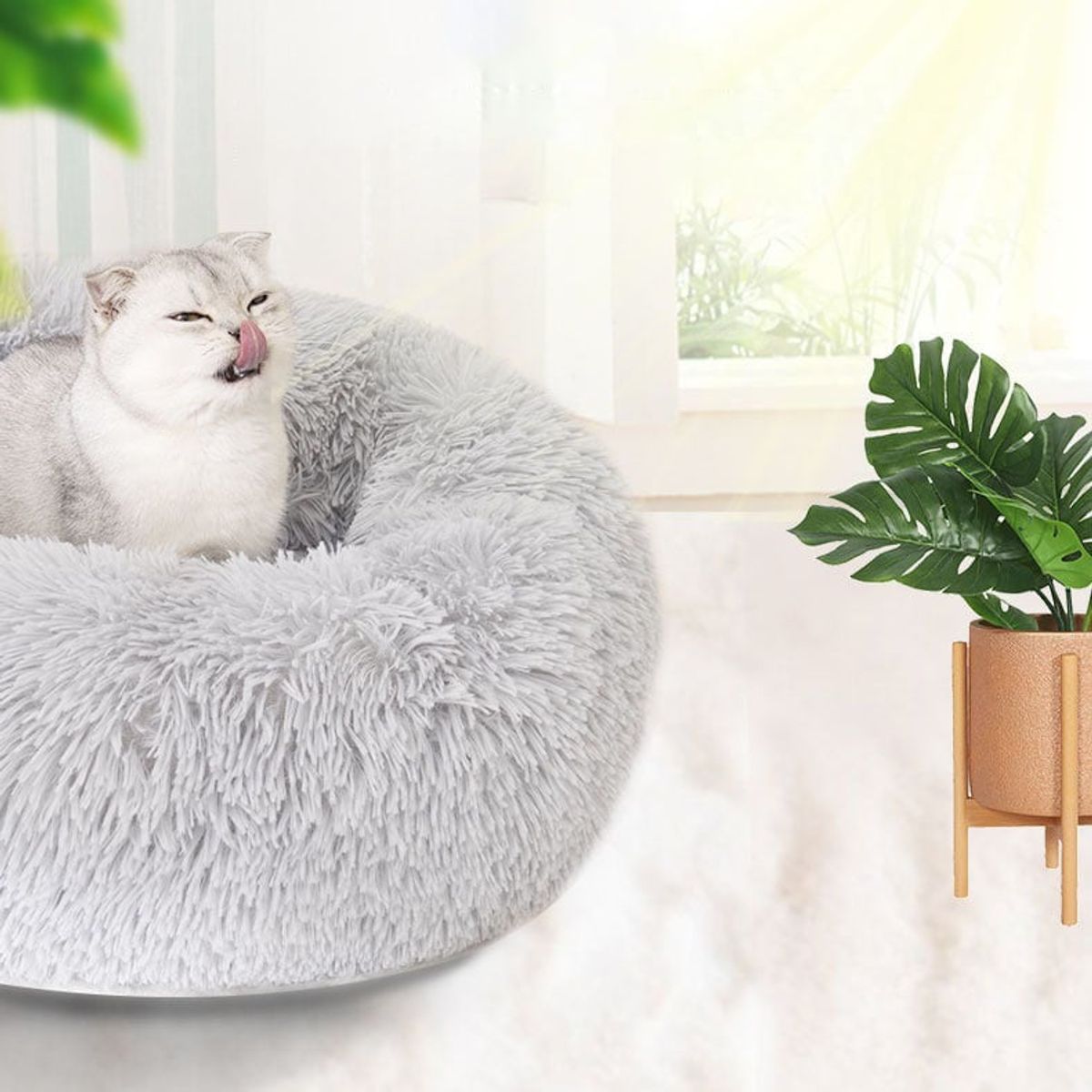 MASCO TODO - Cama Antiestrés Felpa para Mascotas Perros Gatos 50cm Marrón