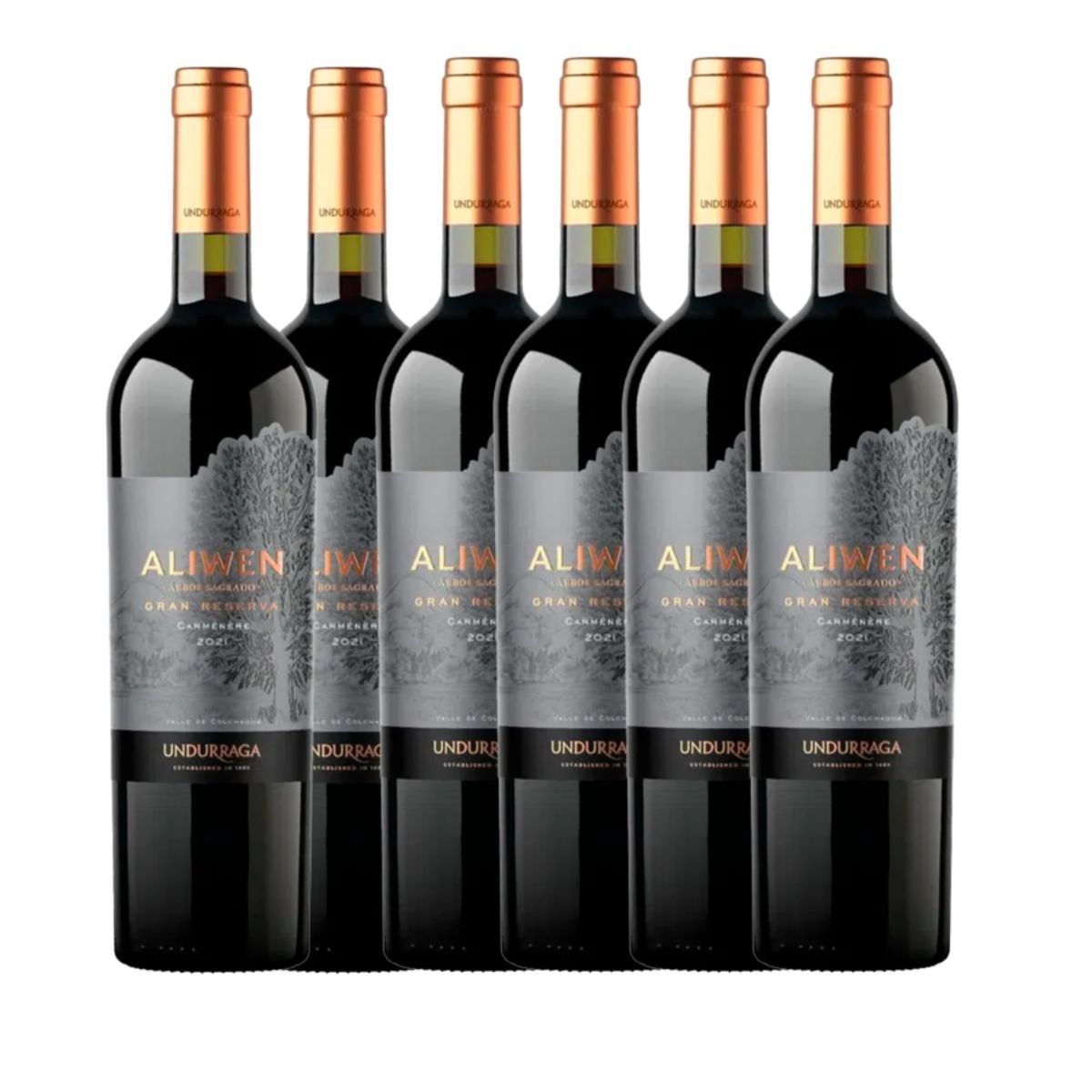 UNDURRAGA - 6 Vino Aliwen Gran Reserva Carmenere