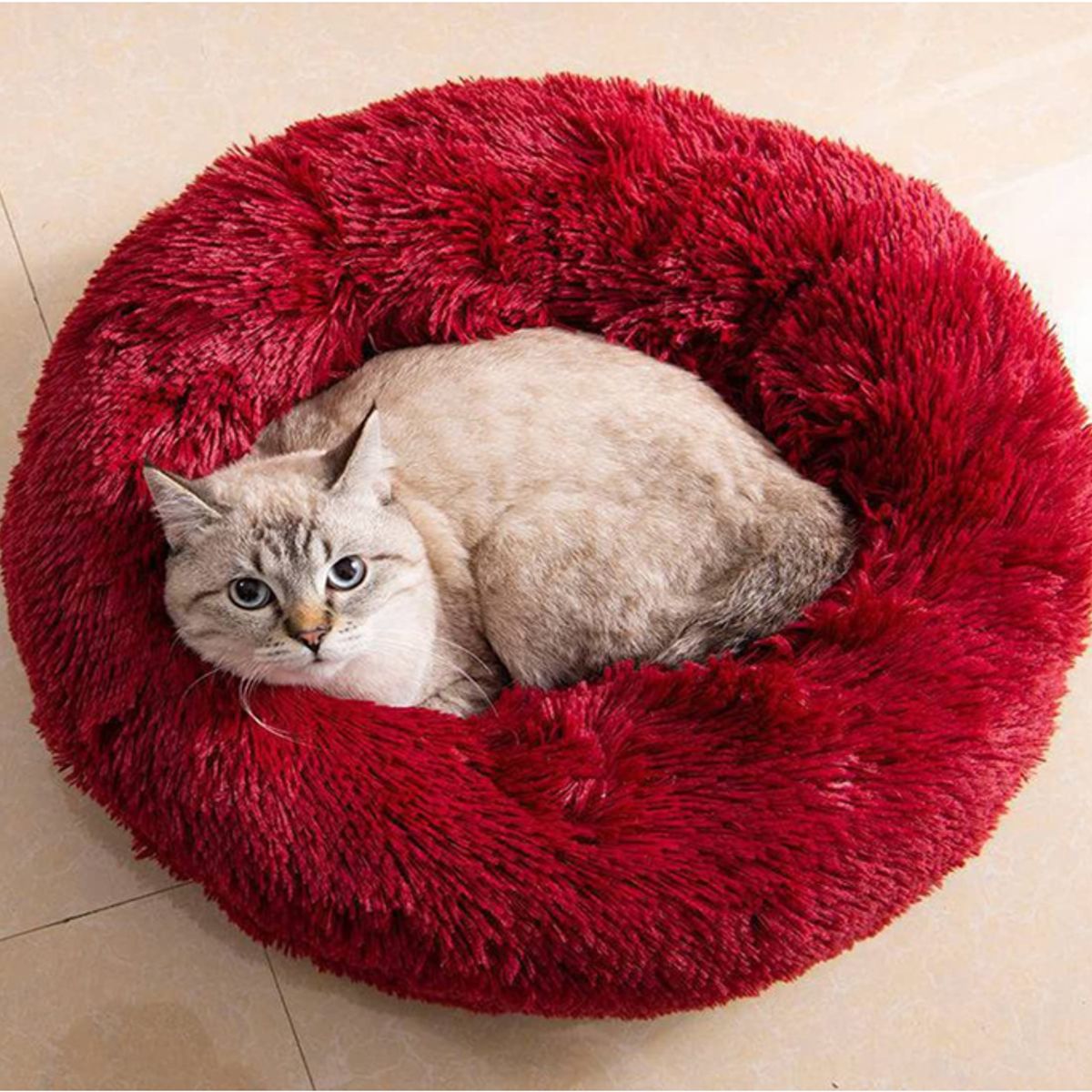 MASCO TODO - Cama Antiestrés Felpa para Mascotas Perros Gatos 70cm Rojo