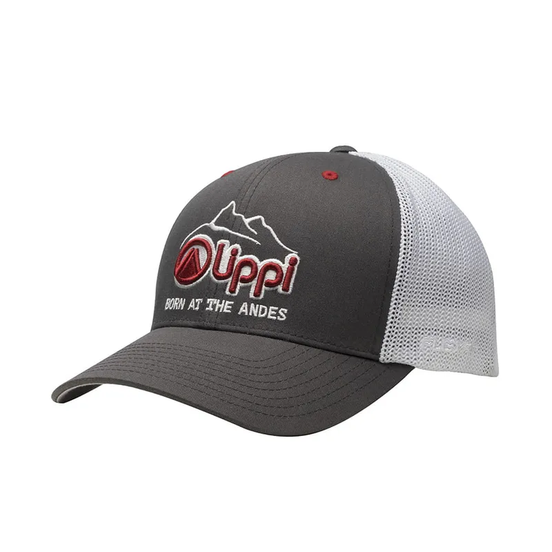 LIPPI - Jockey Mountain Truck Cap FlexFit Gris Oscuro Lippi