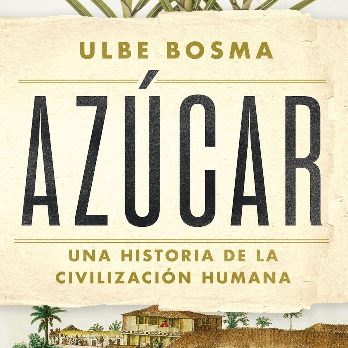 ARIEL - Libro Azúcar - Ulbe Bosma