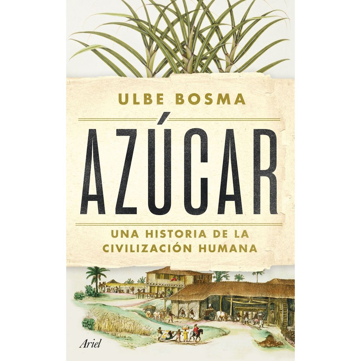 ARIEL - Libro Azúcar - Ulbe Bosma