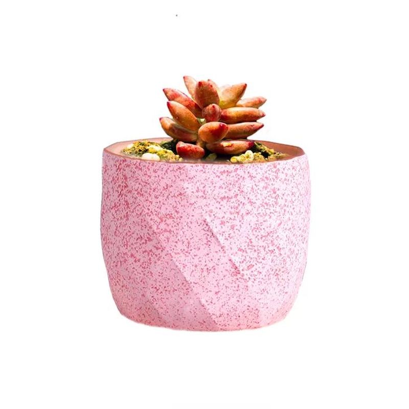 GENERICO - Macetero Geométrico Cerámica Suculentas 72x6cm Pack 10 Rosa