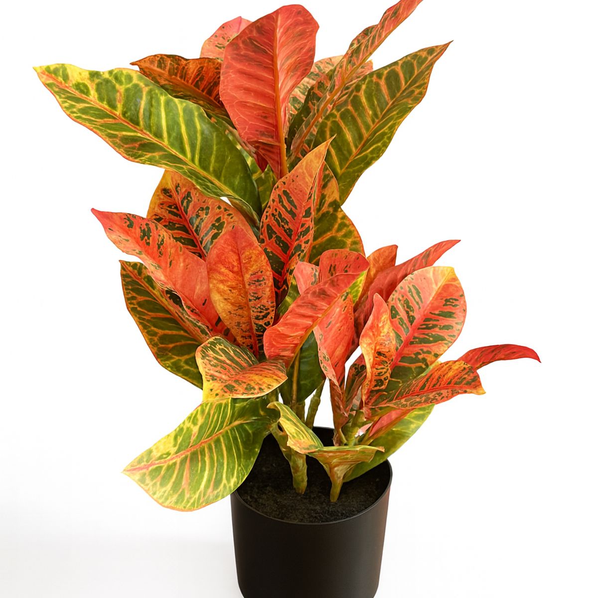 HERRERA MAISON - Planta Artificial Maceta Croton 55 CM