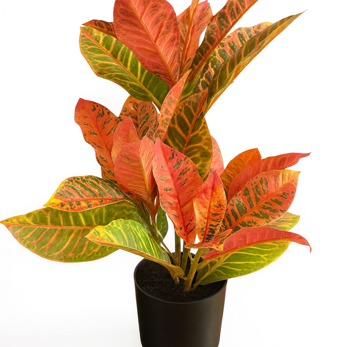 HERRERA MAISON - Planta Artificial Maceta Croton 55 CM