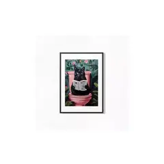 GENERICO - Cuadro 42x52 Poster Gato en el Baño