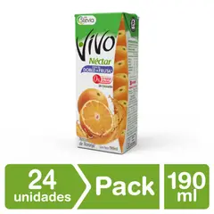VIVO - Nectar Naranja 190 ml x 24 uni