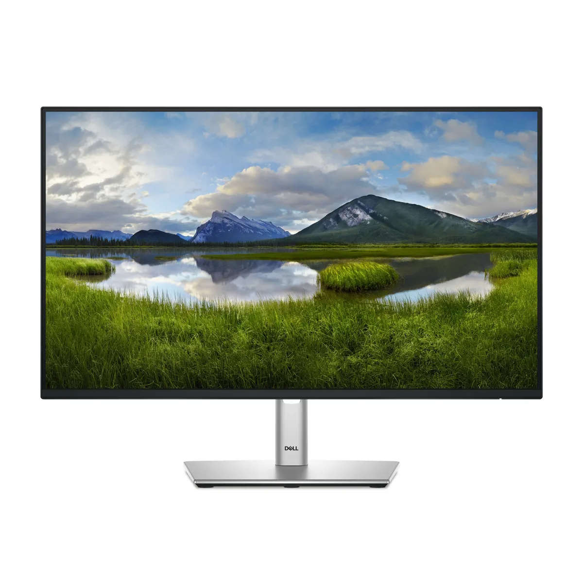 DELL - Monitor Dell P2425H Full HD 23.8"