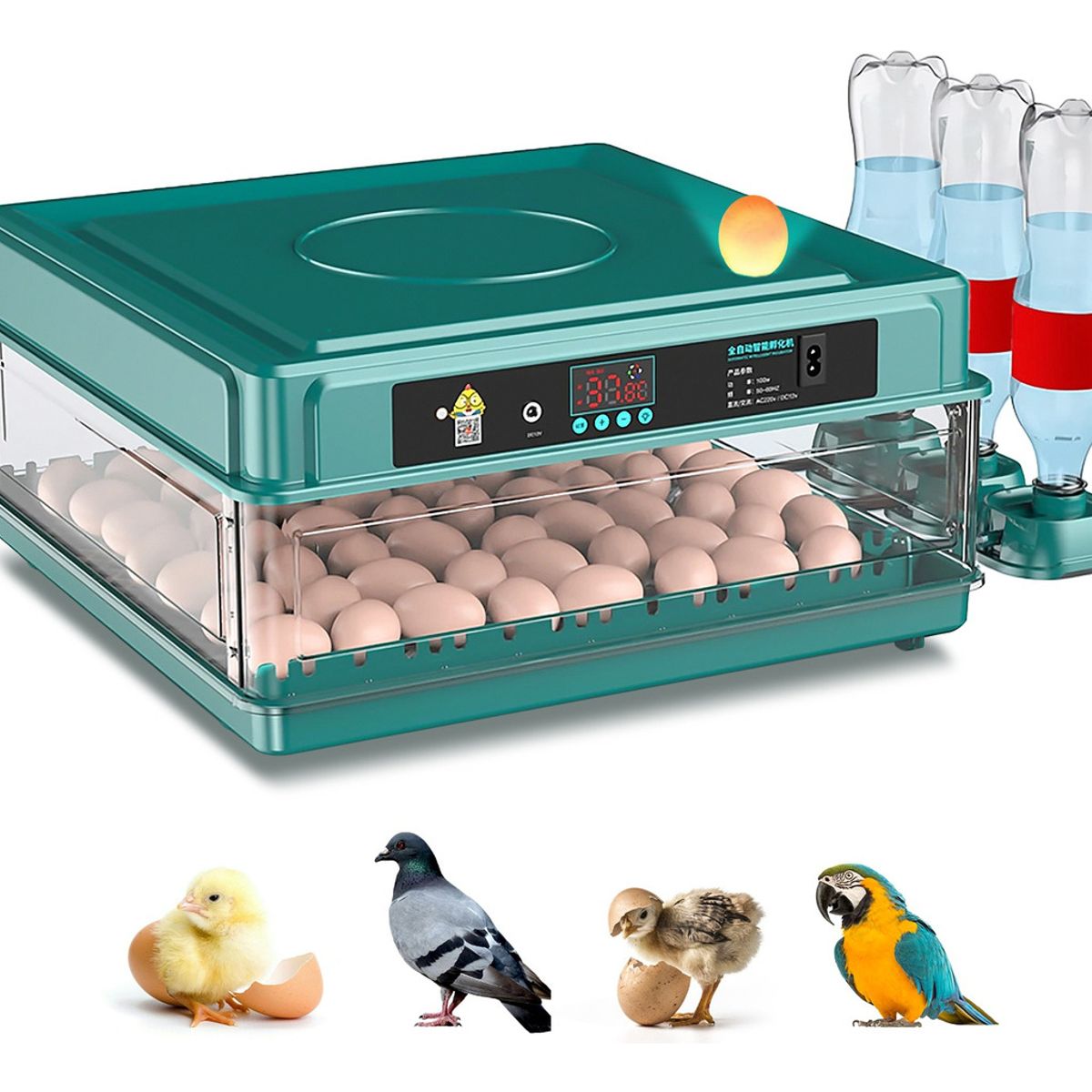 PELUDINES - Incubadora Huevos L48 165cm X 42cm 110v Verde