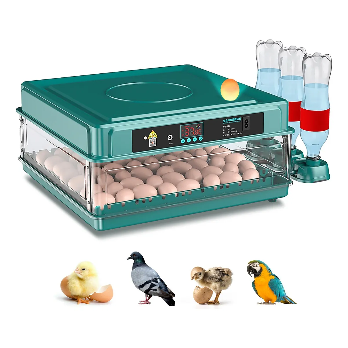 PELUDINES - Incubadora Huevos L48 165cm X 42cm 110v Verde