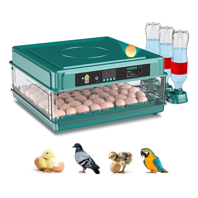U BUY - Incubadora Huevos Yunjas L48 165cm X 42cm 110v 80w Verde