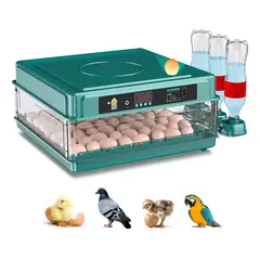 U BUY - Incubadora Huevos Yunjas L48 165cm X 42cm 110v 80w Verde