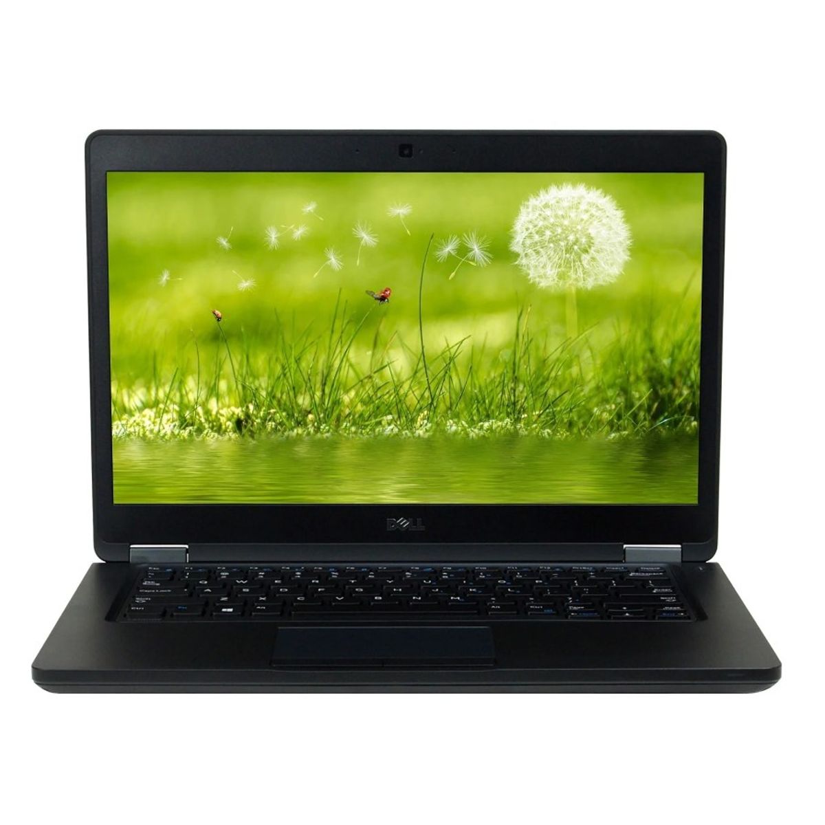 DELL - Notebook DELL Intel Core i5  8 GB RAM 256 SSD