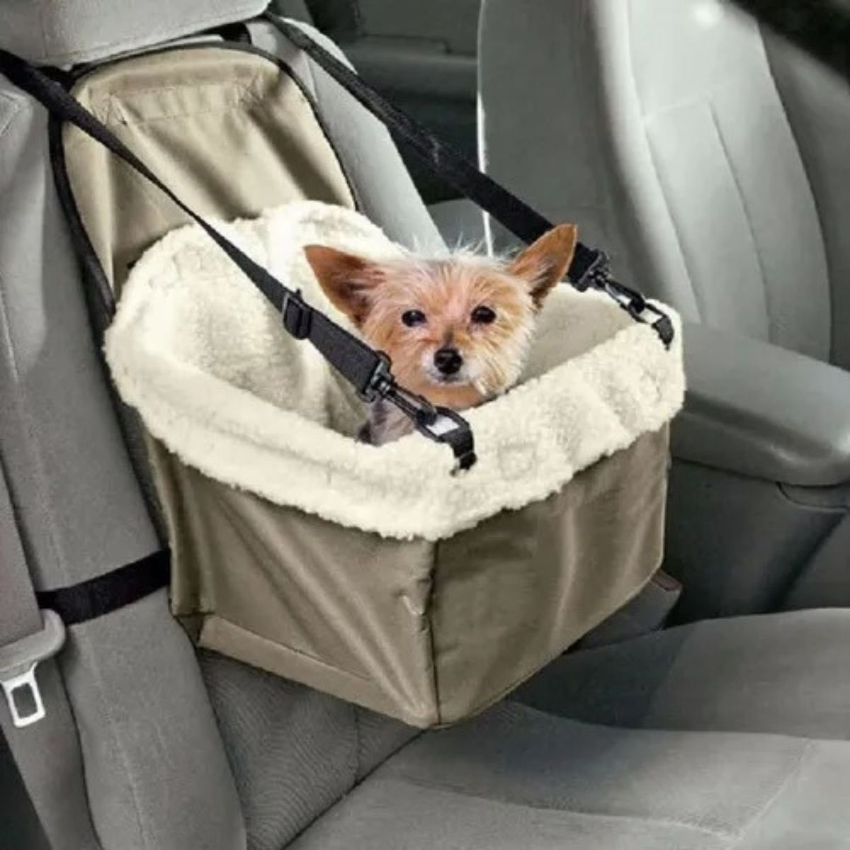 MOVI - ASIENTO DE SEGURIDAD PARA MASCOTAS PARA EL COCHE