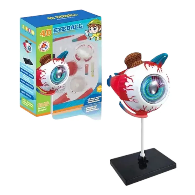 INVENCIBLE - OJO 4D ARMABLE EDUCATIVO ROMPECABEZAS DIDÁCTICO PUZZLE NC17