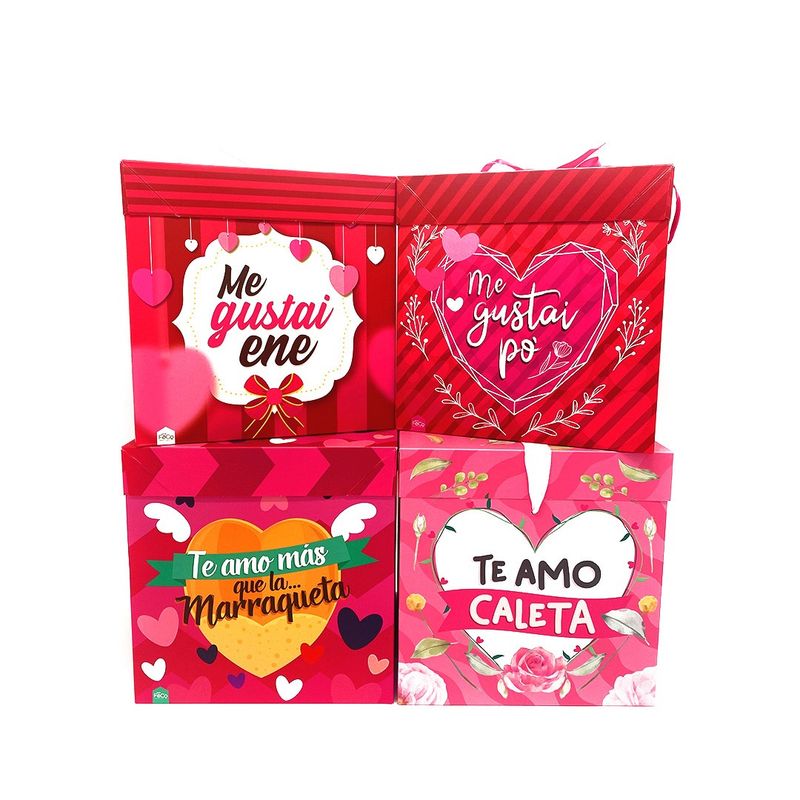 GENERICO - CAJA PLEGABLE GRANDE AMOR CHILENSIS 22X22 CM X12 UNI