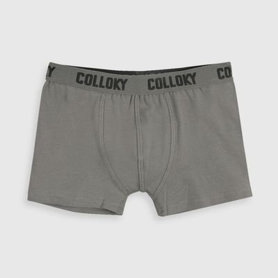 Imagen 2 del producto Boxer Niño Gris 56100