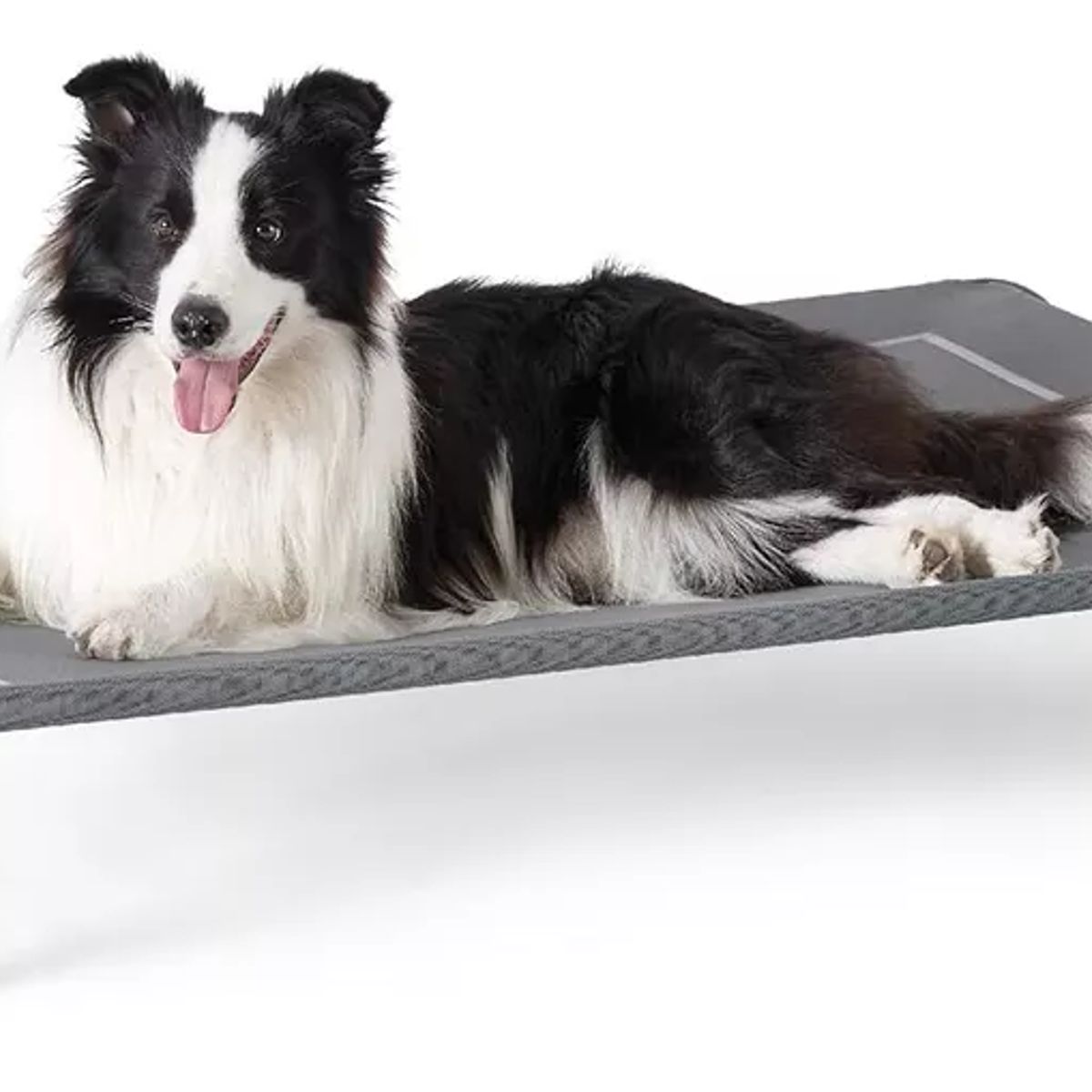 THE DOGS - Cama Elevada Fresca Perros Grandes Hasta 45kg The Dogs