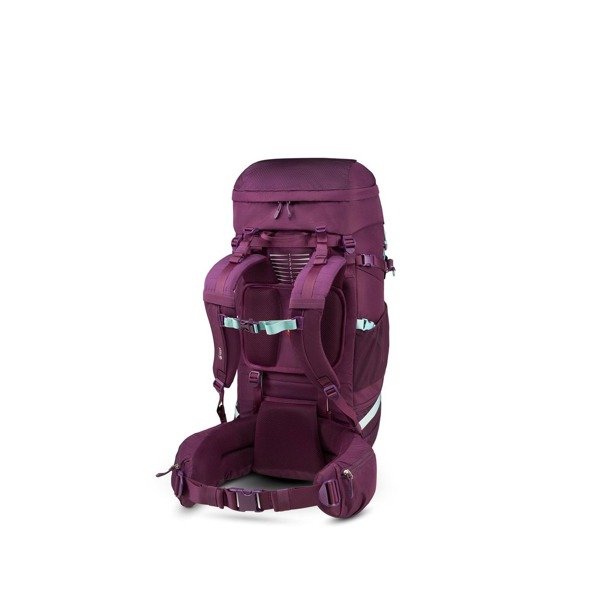 LIPPI - Mochila X-Perience 45 Backpack Morado Lippi