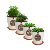 Set 4 Macetas Zafiro 14 Huerto con Platos Terracota