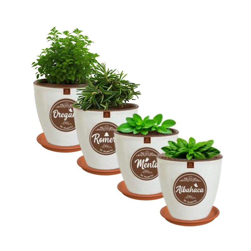 MESTIZA - Set 4 Macetas Zafiro 14 Huerto con Platos Terracota