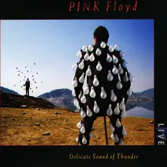 GENERICO - CD Pink Floyd - Delicate Sound Of Thunder