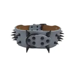 BUEN AMIGO - COLLAR DE PUAS REFORZADA PARA PERROS GRANDES - 60CM - Gris