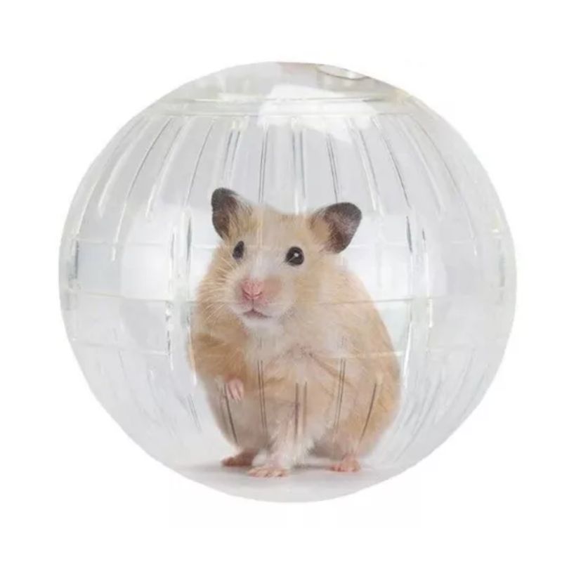 GENERICO - Esfera De Hamster Pequeña 14,5 Cms Transparente