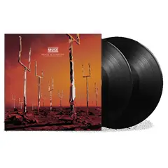 GENERICO - Vinilo Muse - Origin of Symmetry XX