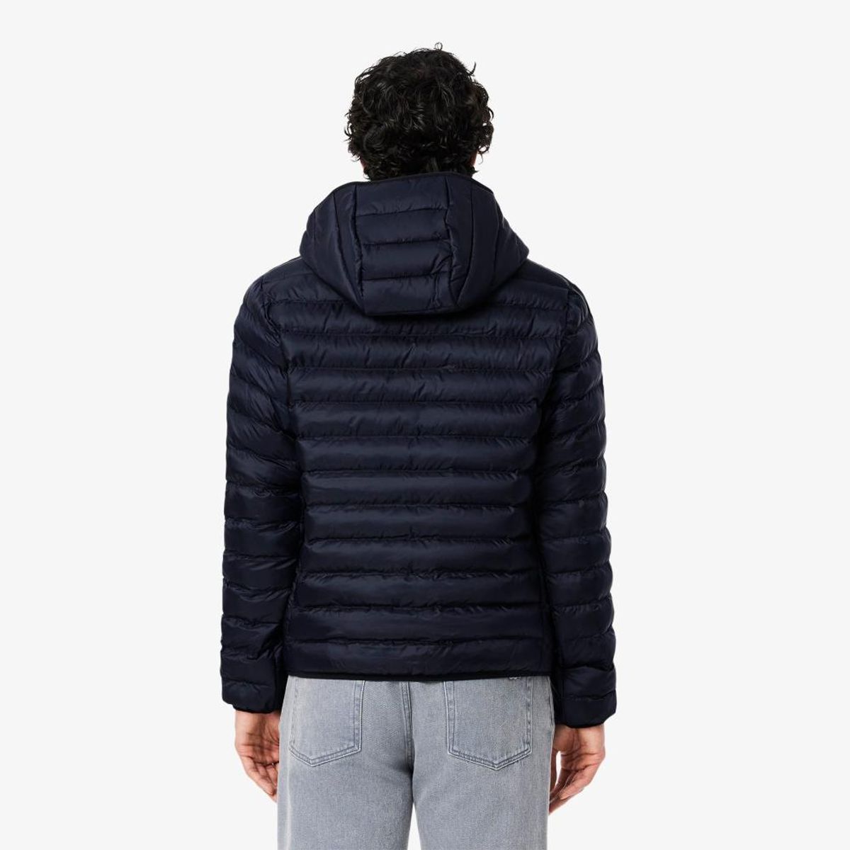 LACOSTE - Parka Hombre Lacoste BH2909