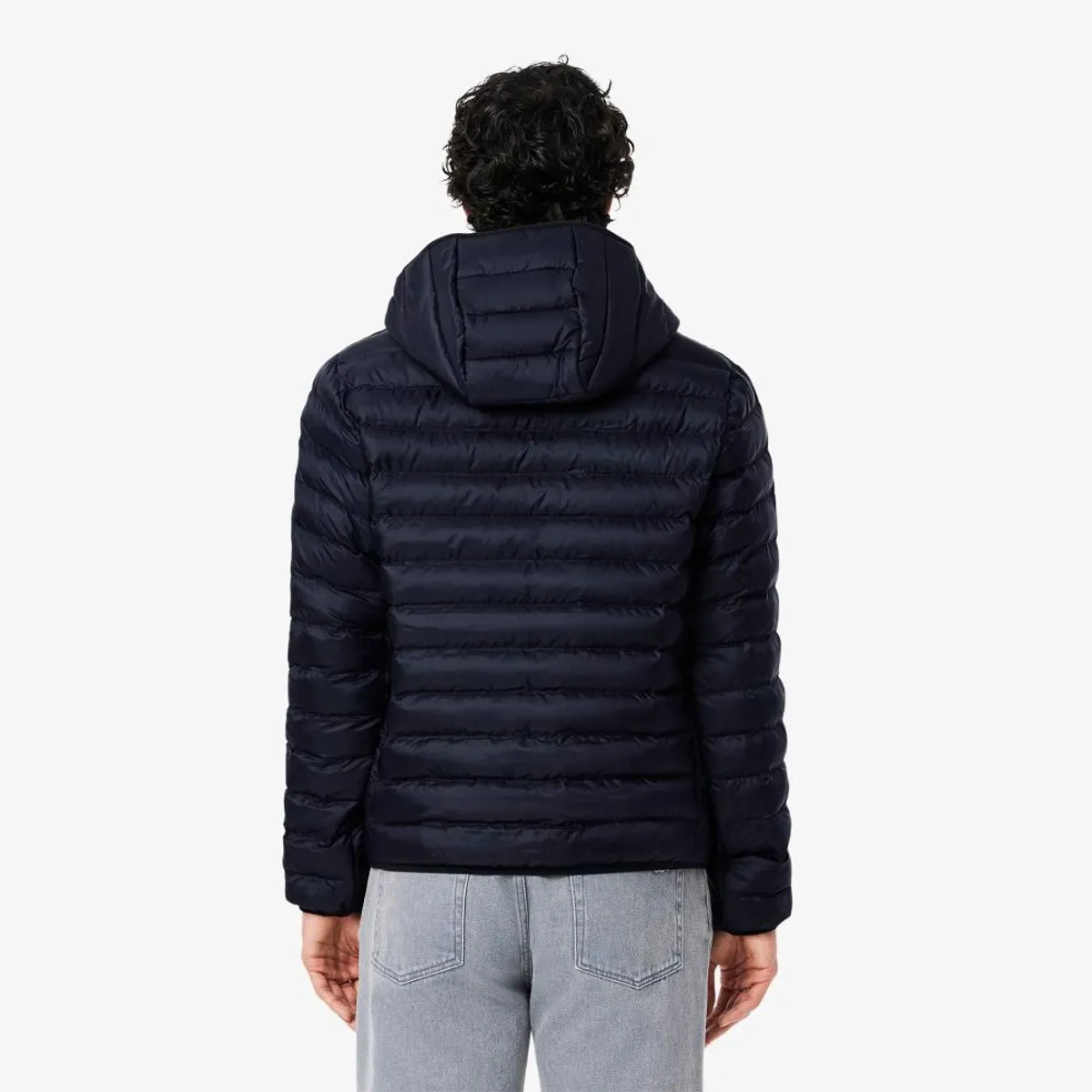 LACOSTE - Parka Hombre Lacoste BH2909