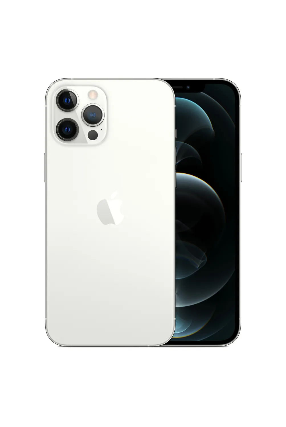 w=1004,h=1500,fit=pad