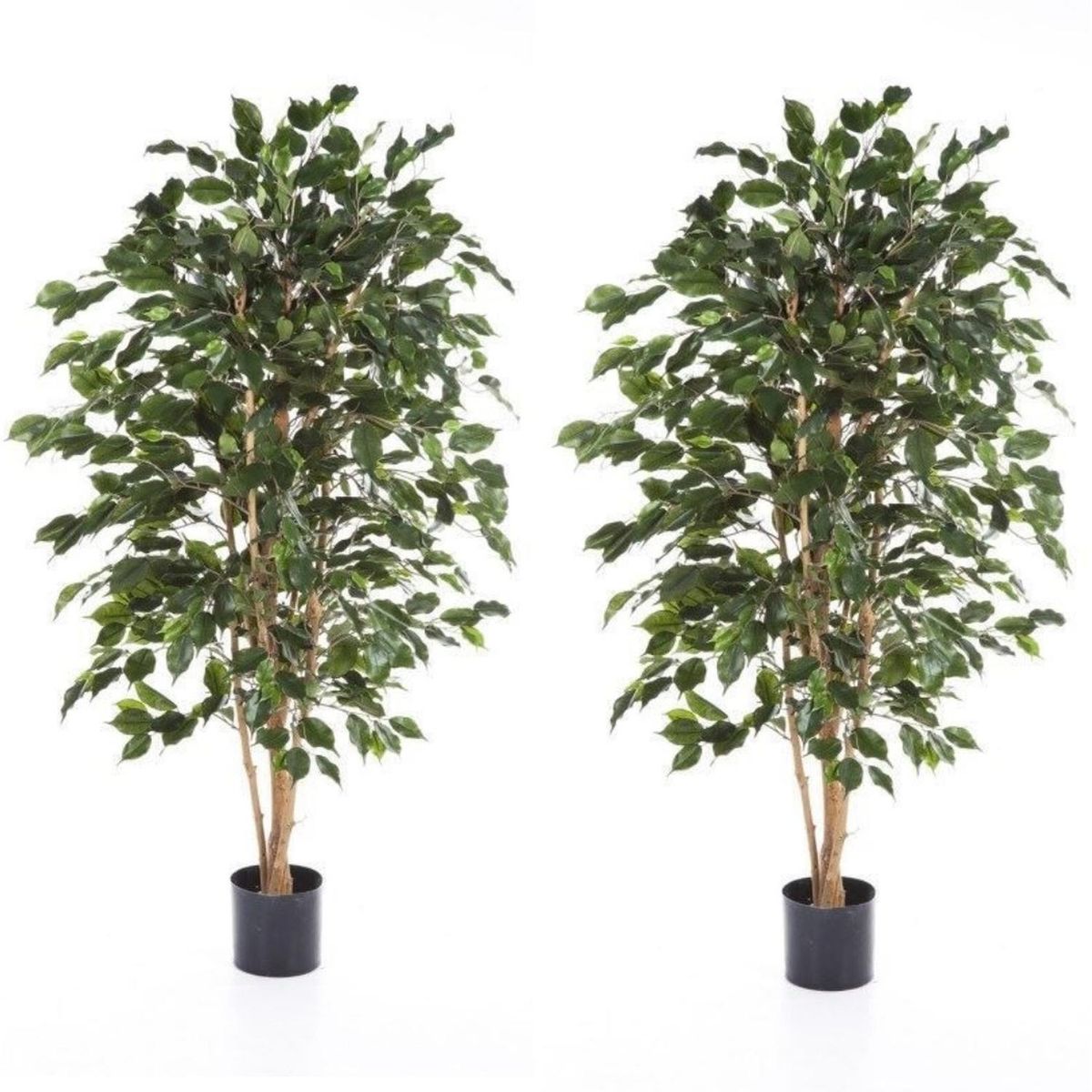 ARBUSTO REAL - 2 X 1 Plantas Artificiales Baratas Ficus 120 Cm Arbusto Real