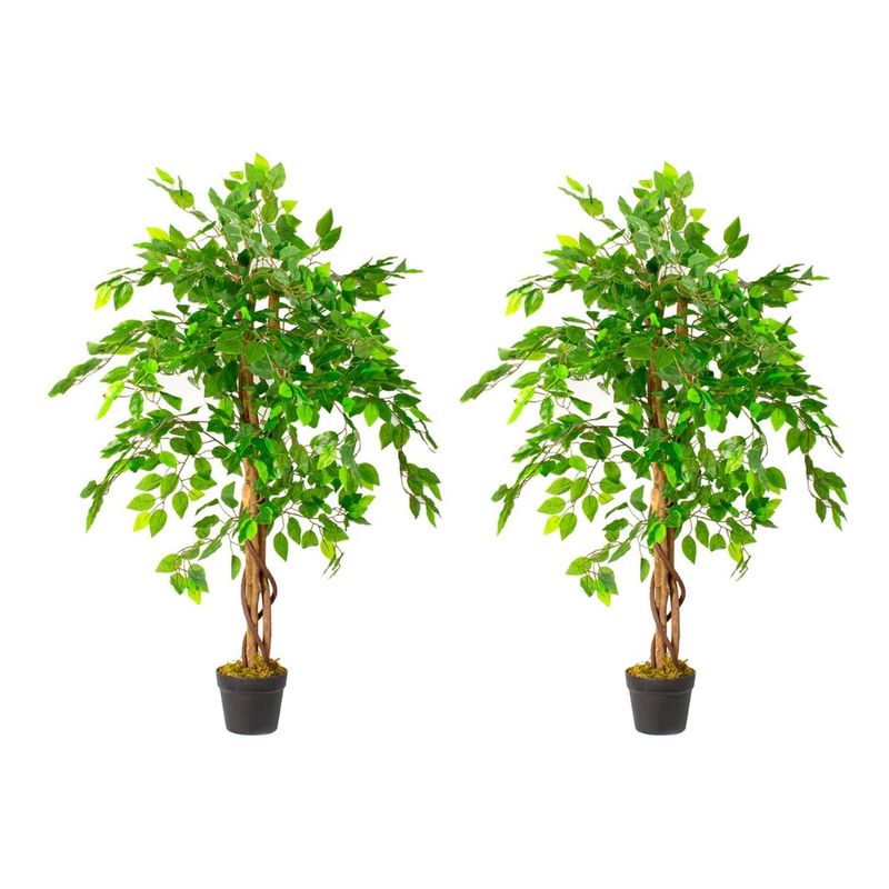 ARBUSTO REAL - 2 X 1 Plantas Artificiales Baratas Ficus 120 Cm Arbusto Real