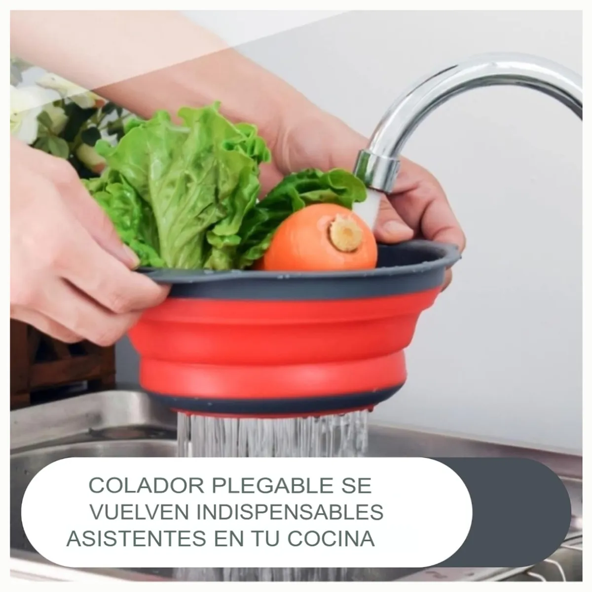 GENERICO - Colador Rojo Plegable + Cesta