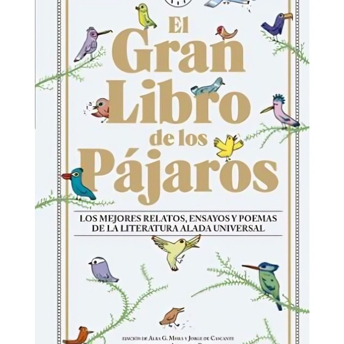 TOP10BOOKS - LIBRO El Gran Libro De Los Pájaros - El Gran Libro De Los Pájaros