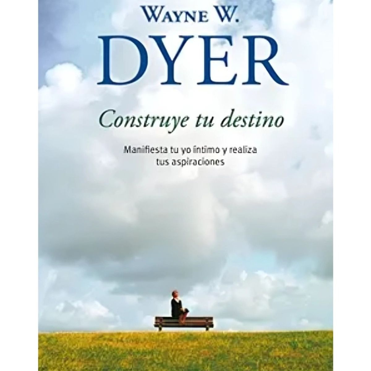 TOP10BOOKS - LIBRO Construye Tu Destino - Construye Tu Destino