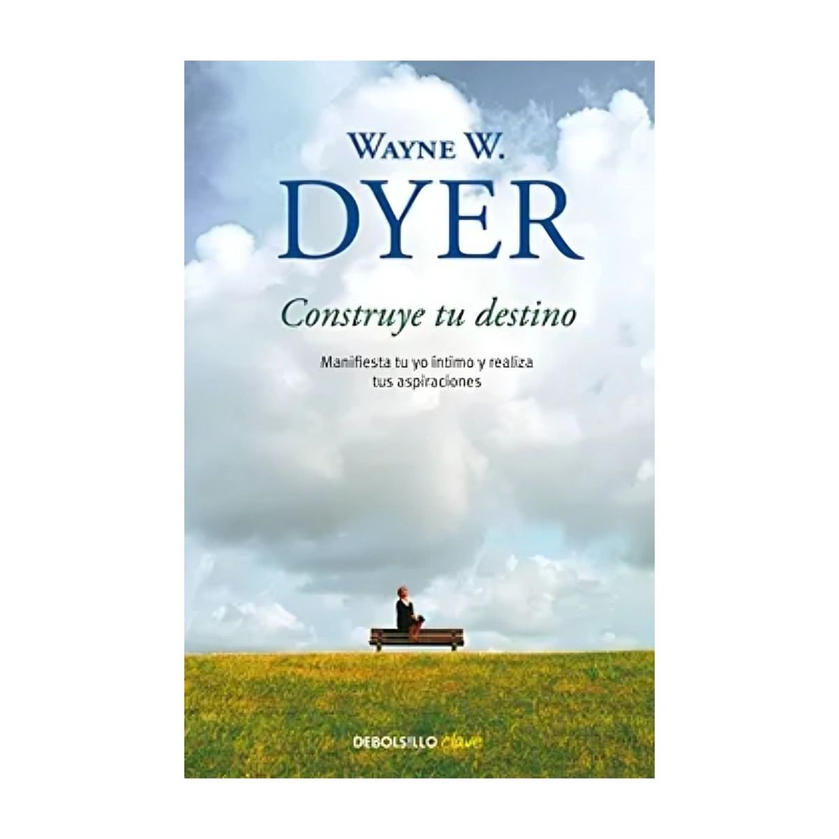 TOP10BOOKS - LIBRO Construye Tu Destino - Construye Tu Destino