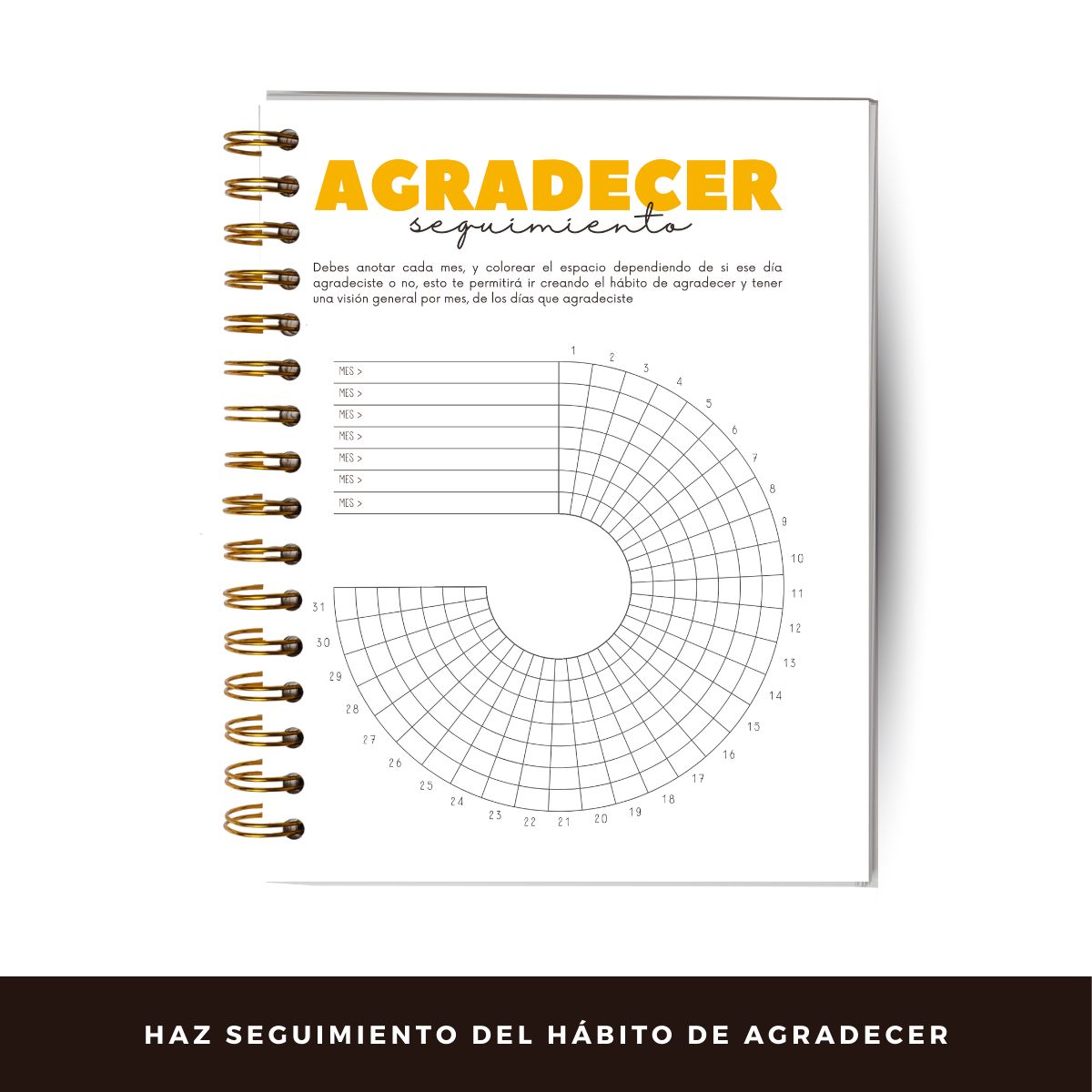 GENERICO - Diario De Gratitud - 90 Días - Diseño Neutro Gris