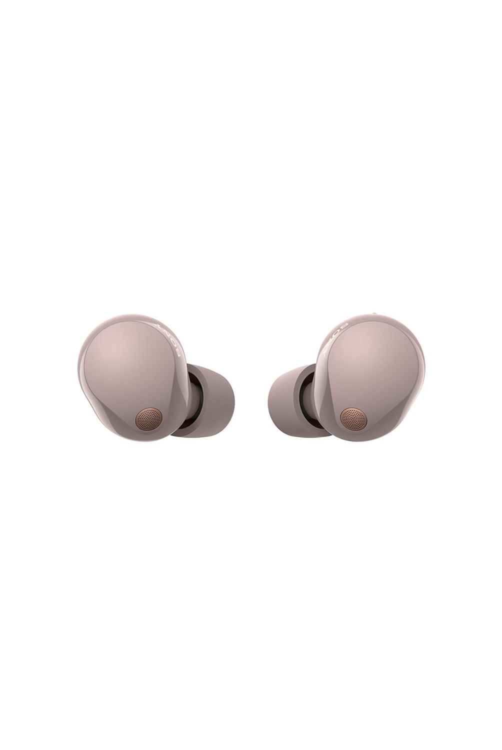 w=1004,h=1500,fit=pad