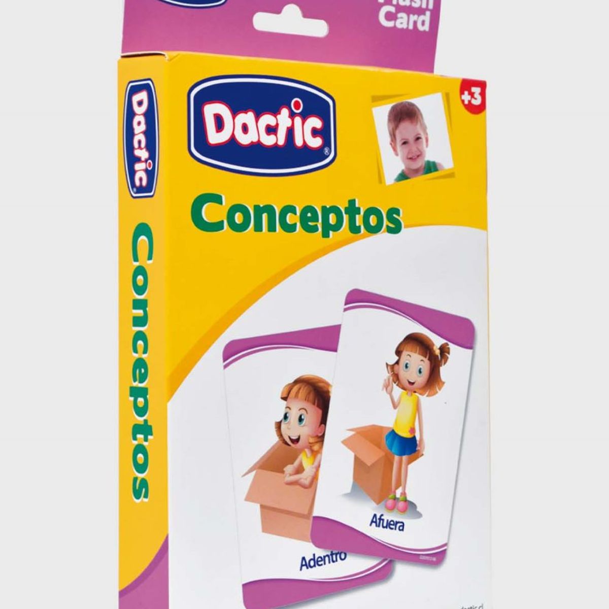 DACTIC - Láminas Conceptos Dactic